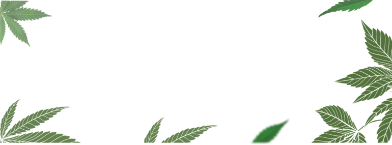 bg-leafe-group