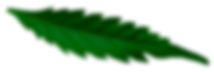 leaf3blur2